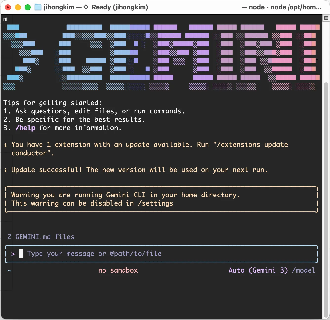 제미나이 CLI 사진